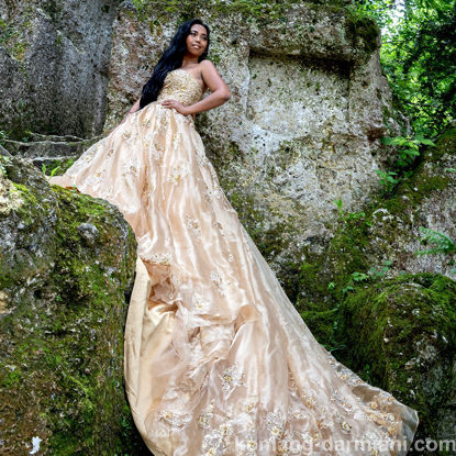 Gambar Gold organza & lace beaded gown