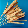 Picture of Wheat - realistic handmade crochet plants